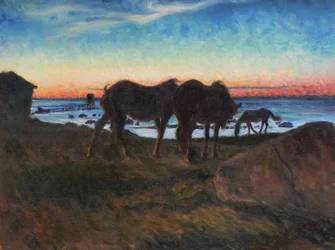 Chevaux au coucher du soleil